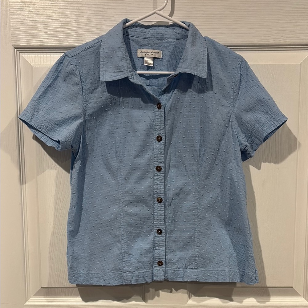 Christopher & Banks Petite Light Blue Textured Button-Up